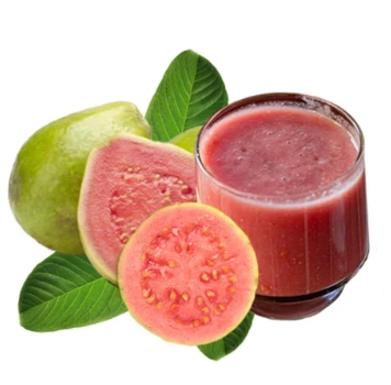 Pink Guava Pulp / Slice